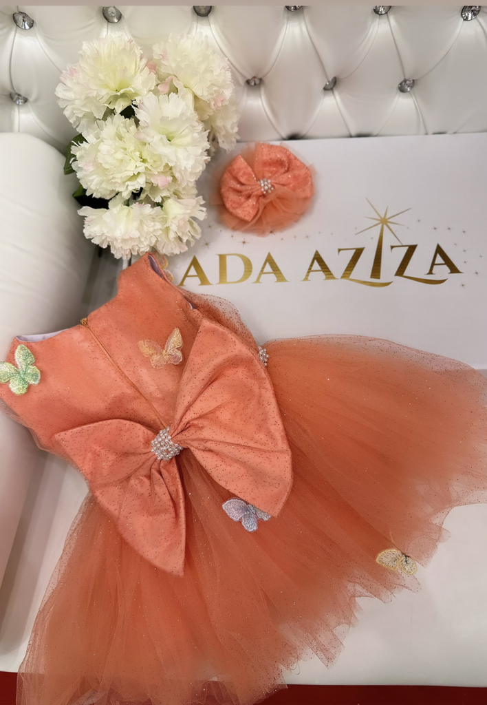 Butterfly dress Salmon - Baby Essentially